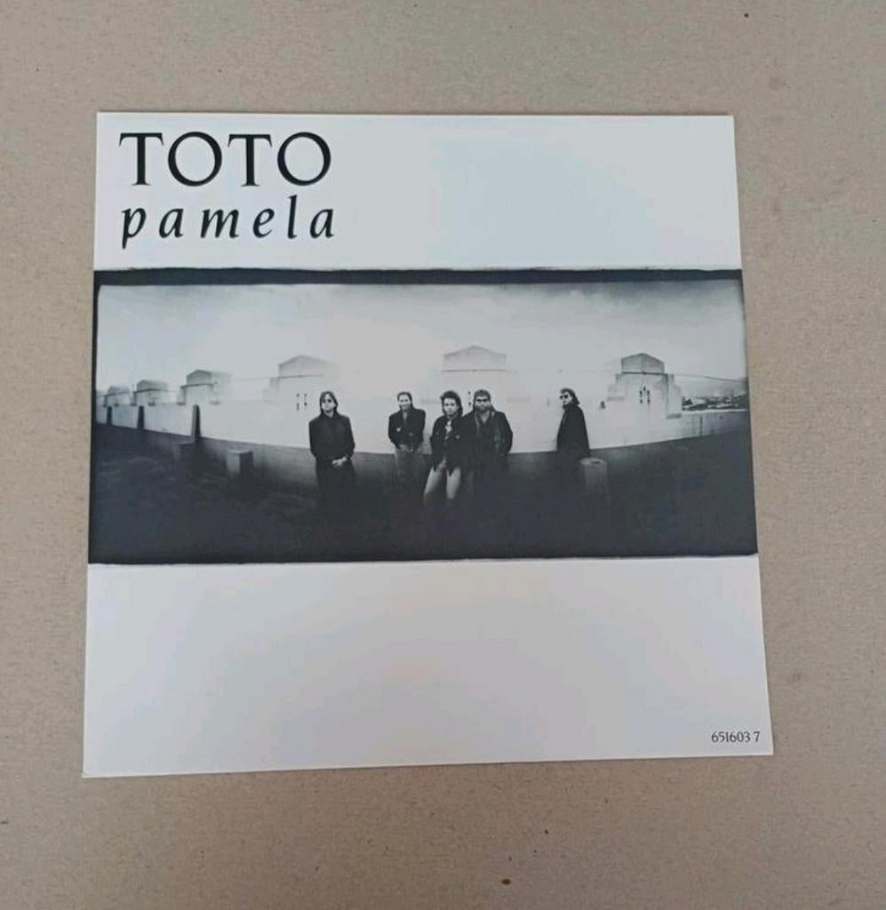 Toto - Gereserveerd, Gebruikt, 7 inch, Single, Ophalen of Verzenden