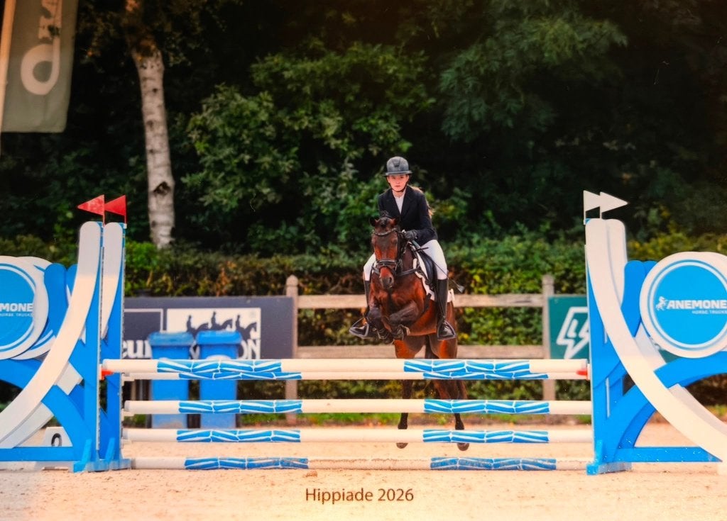 Super lieve Sportpony, Met stamboom, Ruin, Springpony, 7 tot 10 jaar