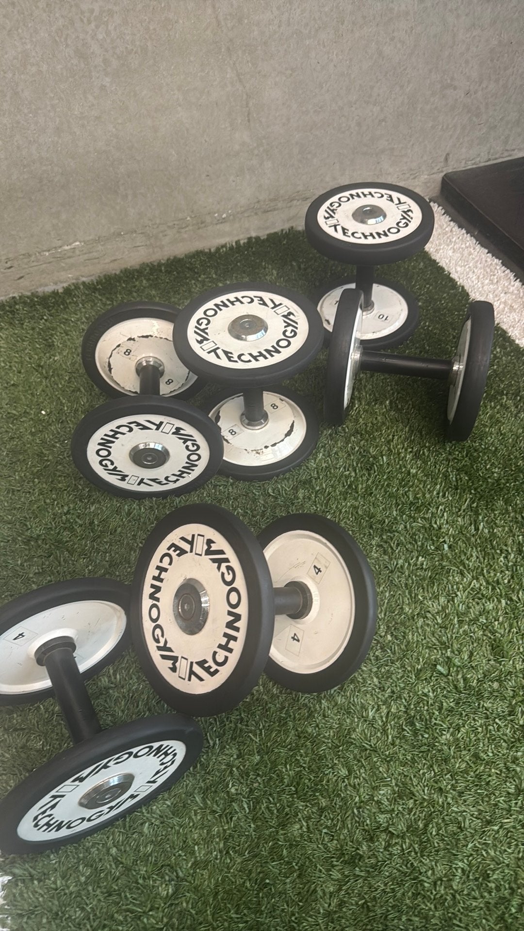 Technogym dumbells 4,6,8 en 10 kg, Sport en Fitness, Ophalen, Gebruikt, Dumbbell