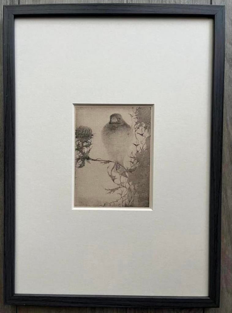 Jan Mankes 1889-1920 / Heliogravure Puttertje op Tak 1923, Antiek en Kunst, Verzenden
