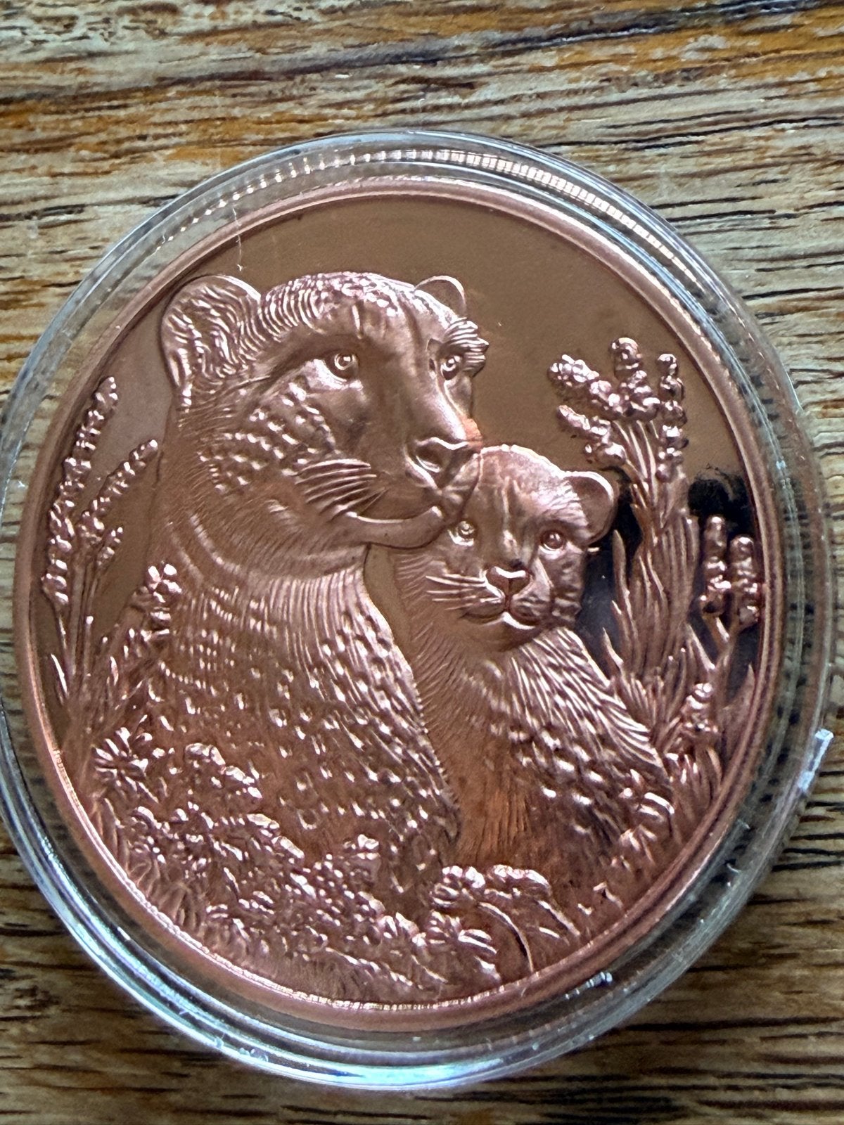 1 Troy Ounce Koperen Munt 999 Fijn Koper – Hoog Reliëf, Ophalen of Verzenden, Koper