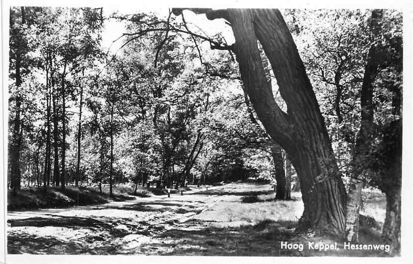 380-056-013 Hoog Keppel Hessenweg, Verzenden, Voor 1920, Gelderland