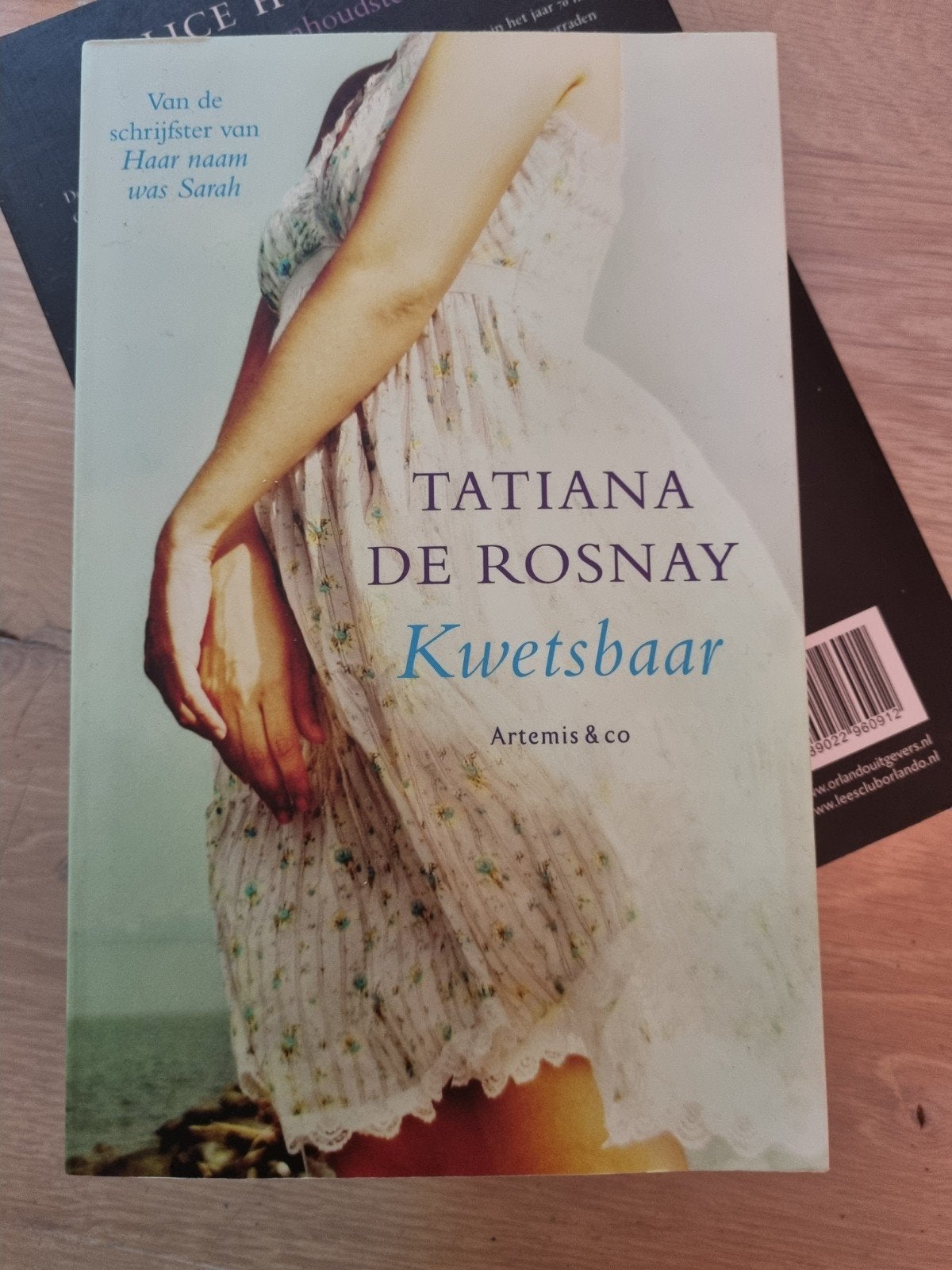 Tatiana de Rosnay - Kwetsbaar, Boeken, Ophalen of Verzenden, Zo goed als nieuw, Tatiana de Rosnay