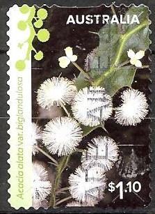 392 Australië 2021 Wattle Wonders s/a, Verzenden, Gestempeld