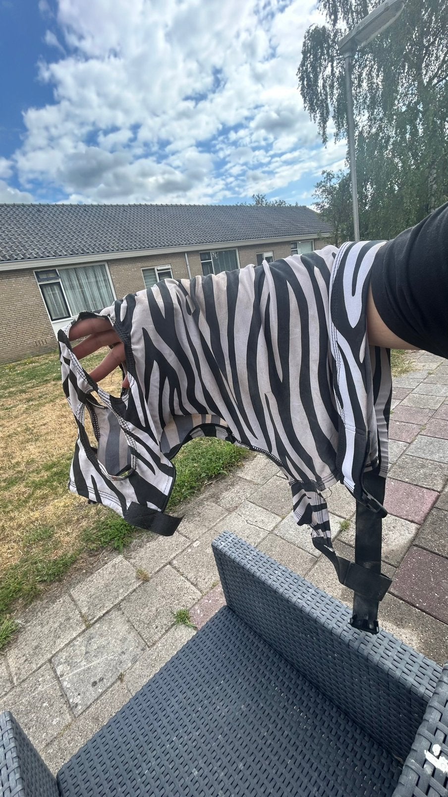 Lycra hoodie - Jaarling Shet, Dieren en Toebehoren, Ophalen of Verzenden, Zo goed als nieuw