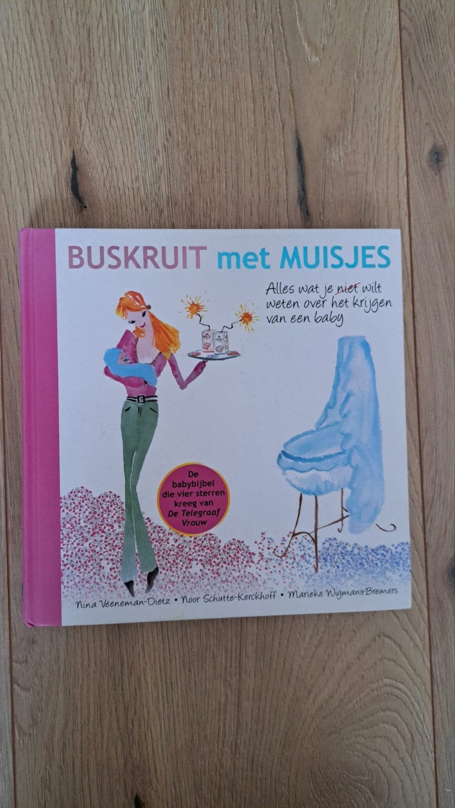 Nina Veeneman-Dietz - Buskruit met muisjes, Boeken, Zwangerschap en Opvoeding, Ophalen, Zo goed als nieuw, Zwangerschap en Bevalling