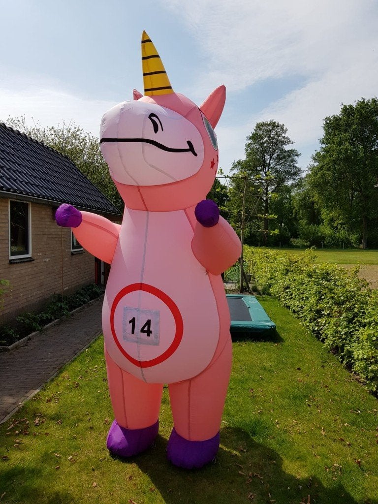 te huur mooie unicorn of dino 3 m hoog 30 euro voor 3 dagen, Ophalen, Zo goed als nieuw, Verjaardag