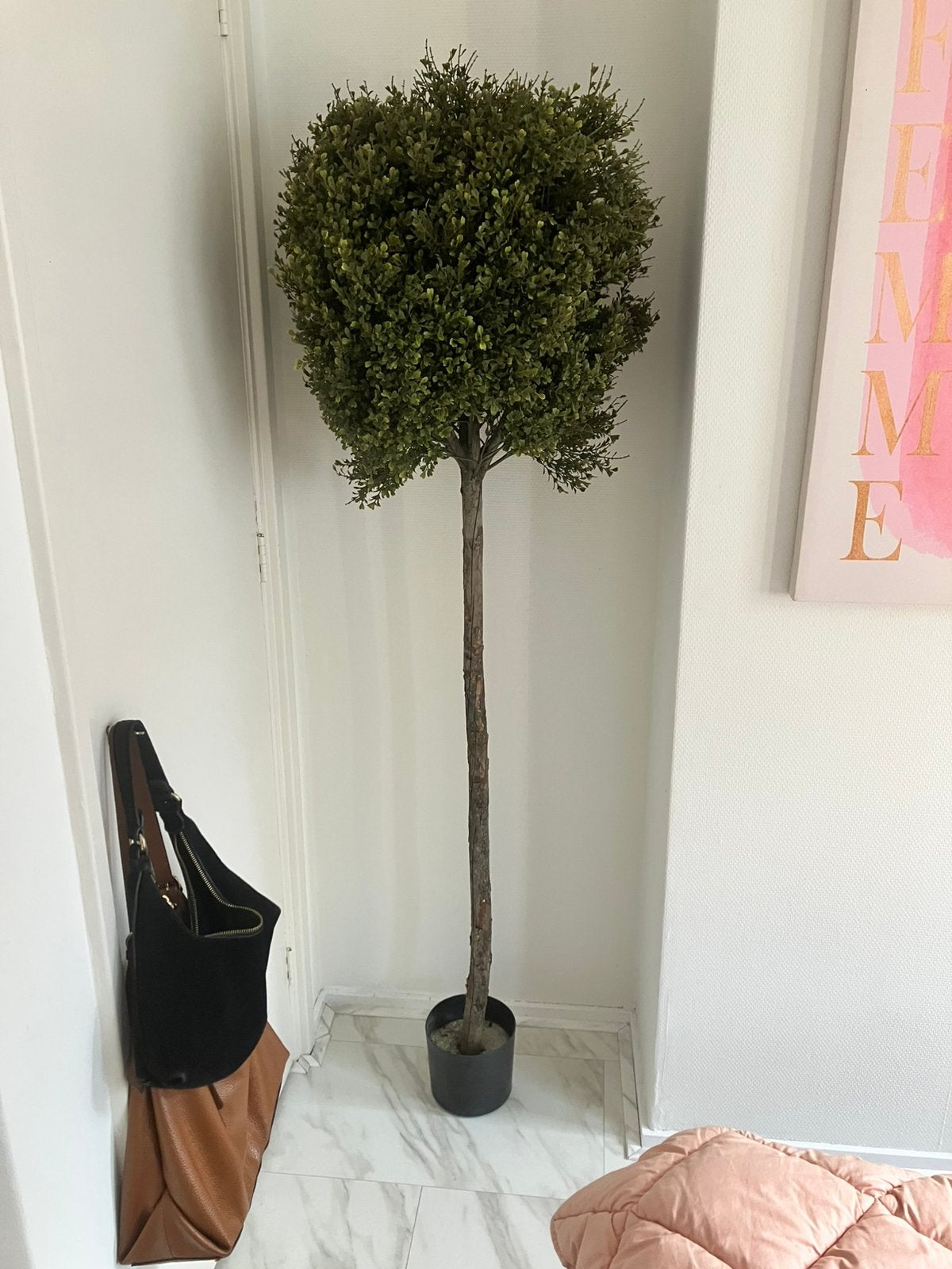 Niet van echt te onderscheiden buxus op stam, Ophalen, Gebruikt