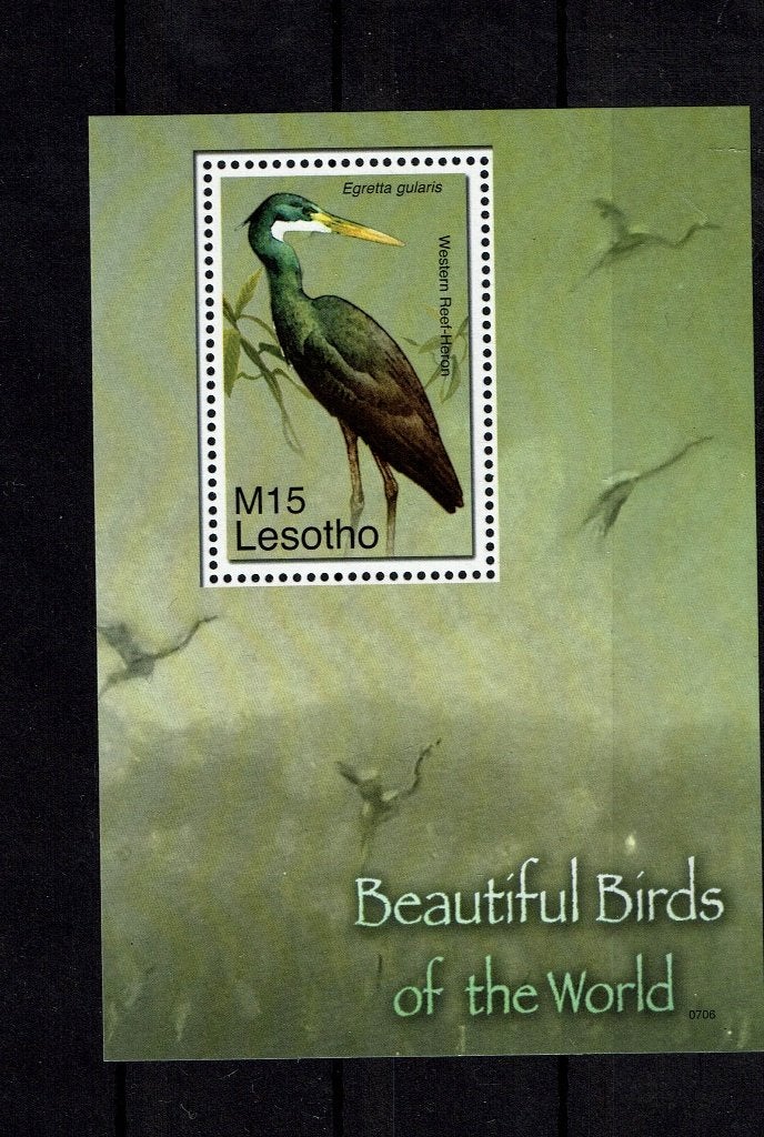 LESOTHO 2007 PF BLOK REIGERS BIRDS VOGELS HERONS, Ophalen of Verzenden, Postfris, Dier of Natuur