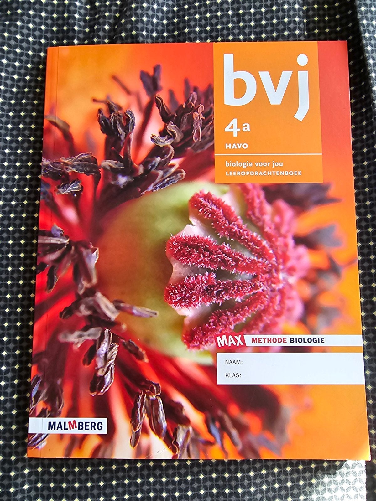 Biologie voor jou 4a HAVO Leeropdrachtenboek Malmberg, Boeken, Ophalen of Verzenden, Gelezen, HAVO, Biologie