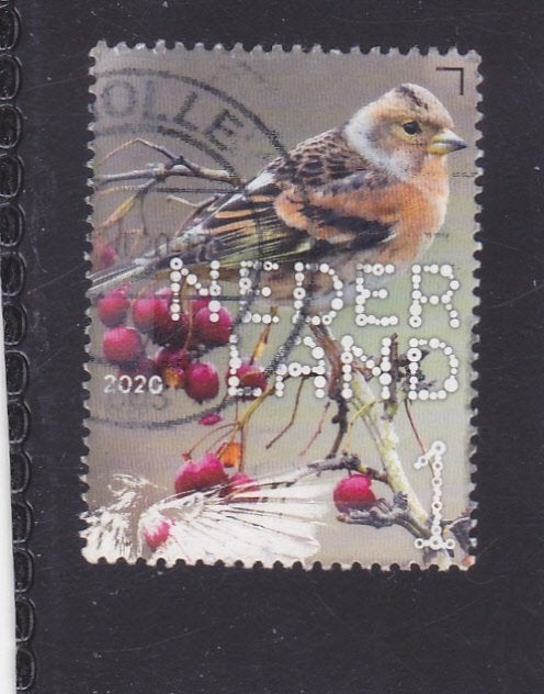 postzegel Beleef de Natuur, Verzenden, Na 1940, Gestempeld