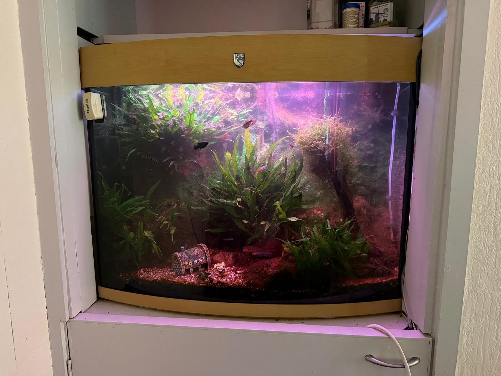 Aquarium 192 liter met toebehoren, Dieren en Toebehoren, Vissen | Aquaria en Toebehoren, Ophalen, Gebruikt, Overige merken, Inclusief vissen