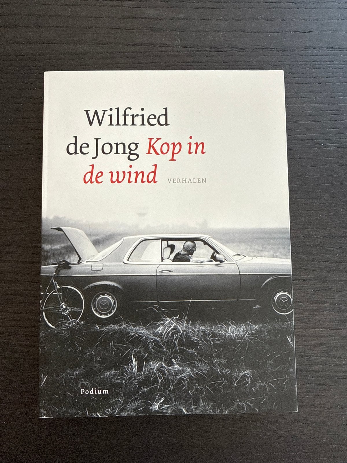 Wilfried de Jong - Kop in de wind (Verhalen), Ophalen of Verzenden, Zo goed als nieuw, Nederland