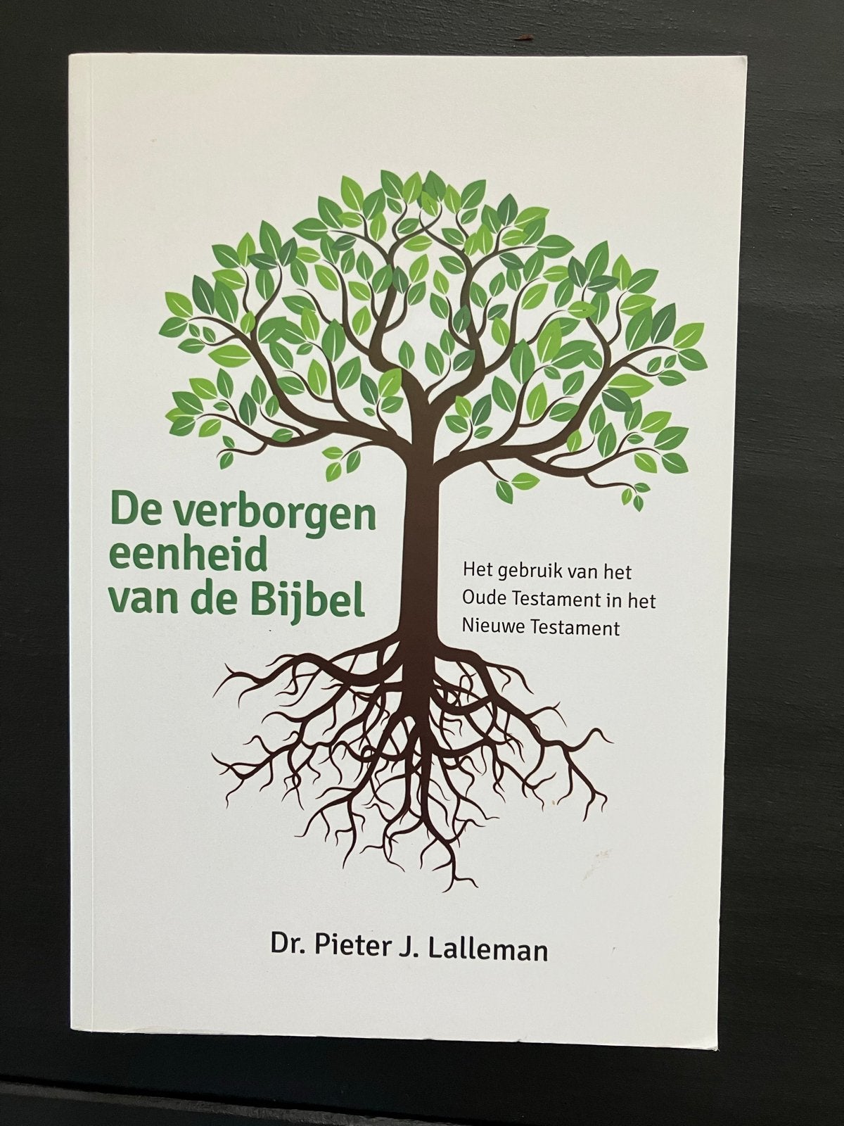 De verborgen eenheid van de Bijbel - Pieter J. Lalleman, Ophalen of Verzenden, Zo goed als nieuw, Christendom | Protestants