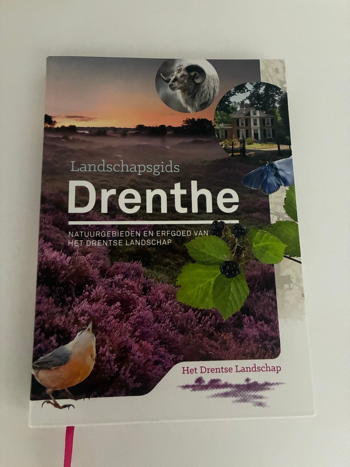 Landschapsgids Drenthe: Natuurgebieden en Erfgoed, Boeken, Ophalen of Verzenden, Zo goed als nieuw, Wandel- of Recreatiegebieden