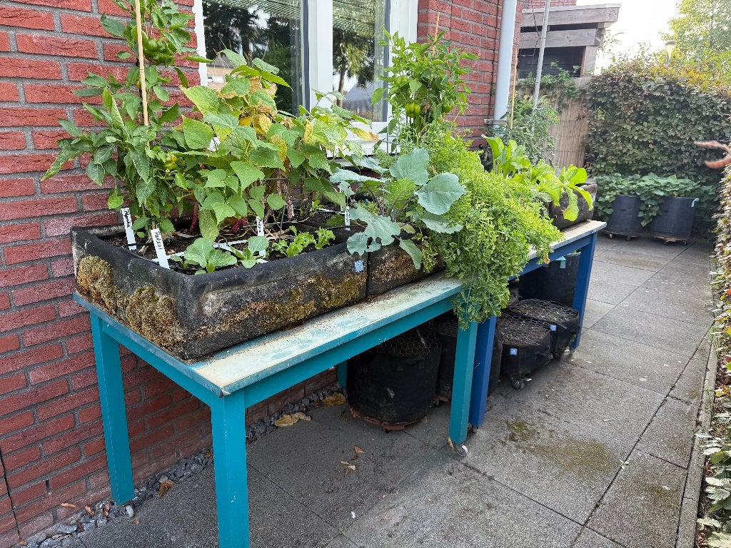 Complete Makkelijke moestuin set van 4 airbag's, Tuin en Terras, Bloembakken en Plantenbakken, Ophalen, Kunststof, Gebruikt, Minder dan 30 cm