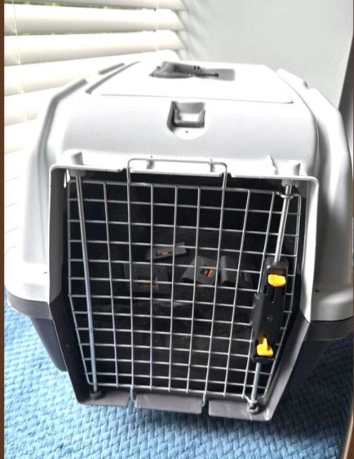 ZGAN Honden,  katten  bench voor kleine hond, Ophalen, Zo goed als nieuw