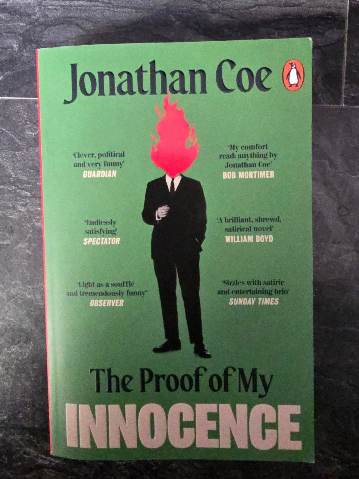 The Proof of My Innocence van Jonathan Coe, Boeken, Ophalen of Verzenden, Zo goed als nieuw