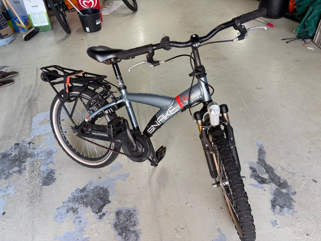 BATAVUS SNAKE 20", Fietsen en Brommers, Fietsen | Kinderfietsjes, Ophalen, 20 inch of meer, Gebruikt, Velgrem