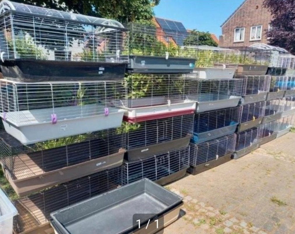 Konijnenhok 100 cm, Dieren en Toebehoren, Kooi, Gebruikt, Chinchilla, Ophalen