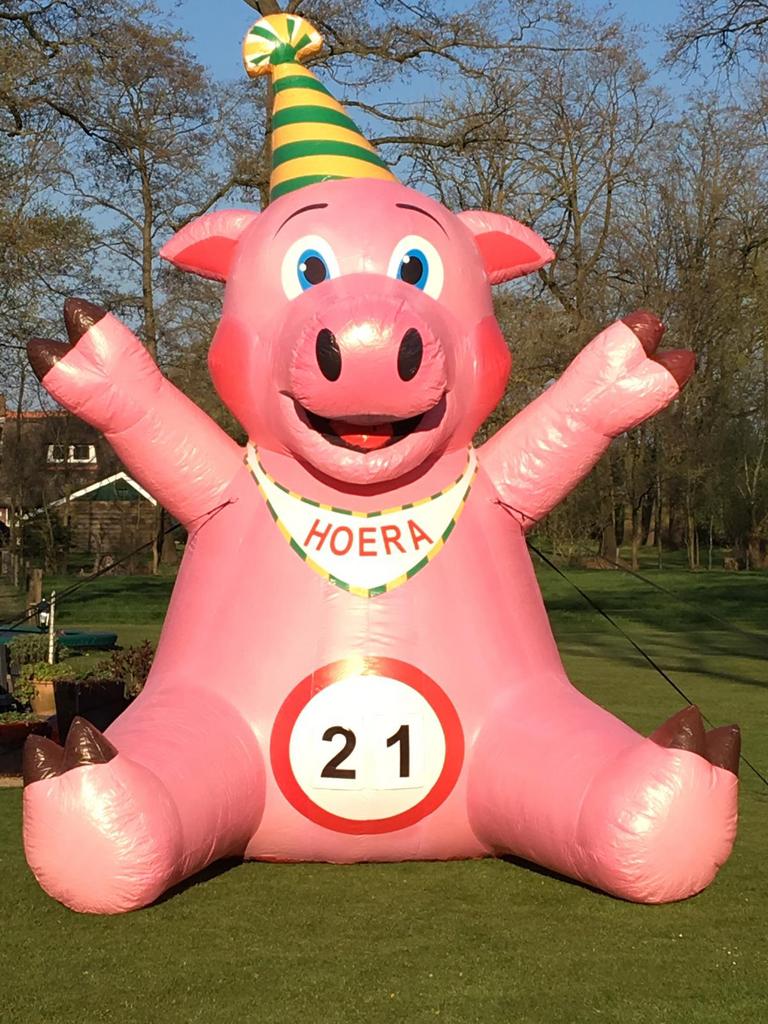Te huur leuke opblaasbare feestvarken voor alke leeftijden., Ophalen of Verzenden, Zo goed als nieuw