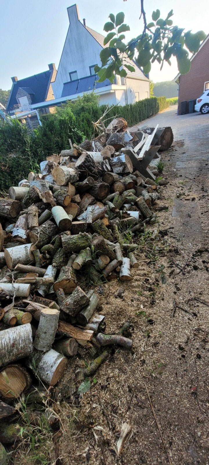 Brandhout, grotendeels gekloofd, 6 m³ of meer, Ophalen of Verzenden, Beukenhout, Blokken