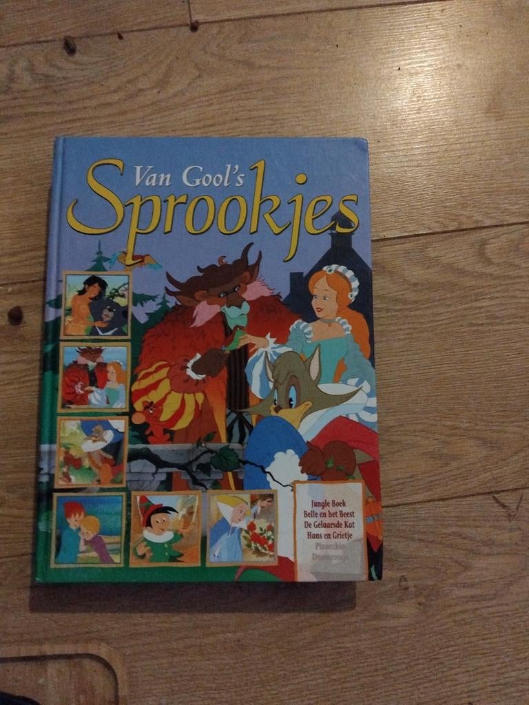 Van Gool's Sprookjes Leesboek - Diverse Klassieke Verhalen, Ophalen of Verzenden, Gelezen, Van Gool