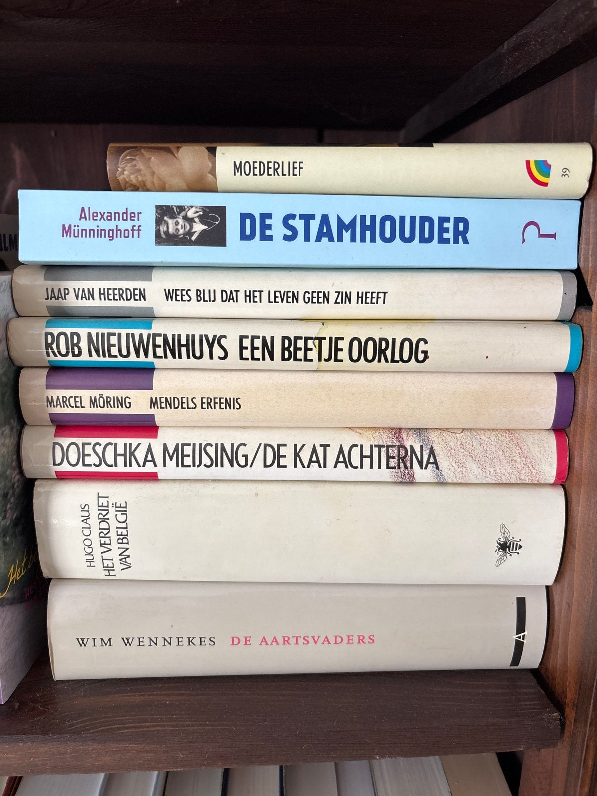 Diverse collectie boeken: romans, poëzie en non-fictie, Boeken, Ophalen of Verzenden, Gelezen, Nederland
