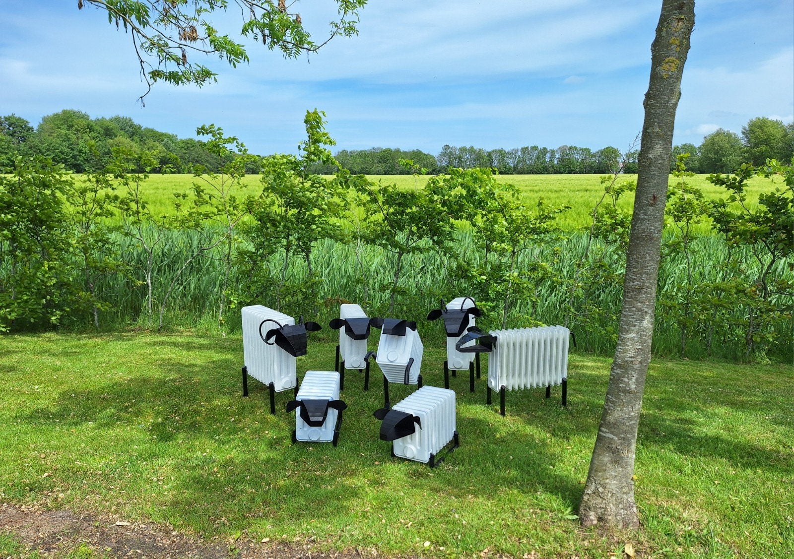 Schaap/radiator/metaal/kunst., Ophalen