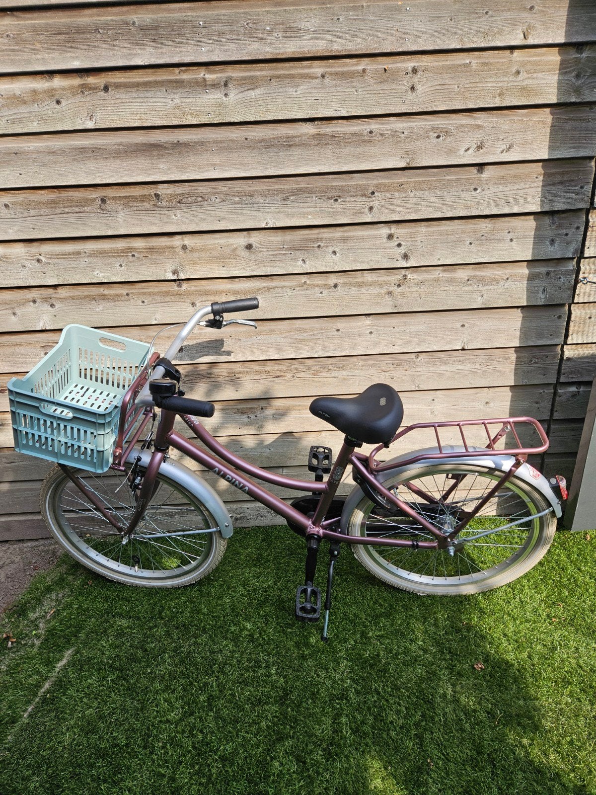 Alpina Cargo mat roze 22 inch, Ophalen, Terugtraprem, 22 inch, Alpina