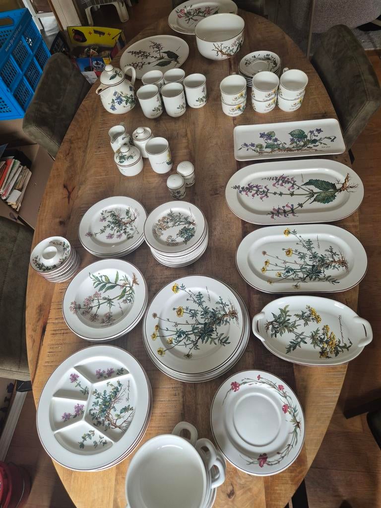 Villeroy & Boch Botanica Servies Set - veel verschillende, Ophalen, Gebruikt, Bord(en), Overige stijlen