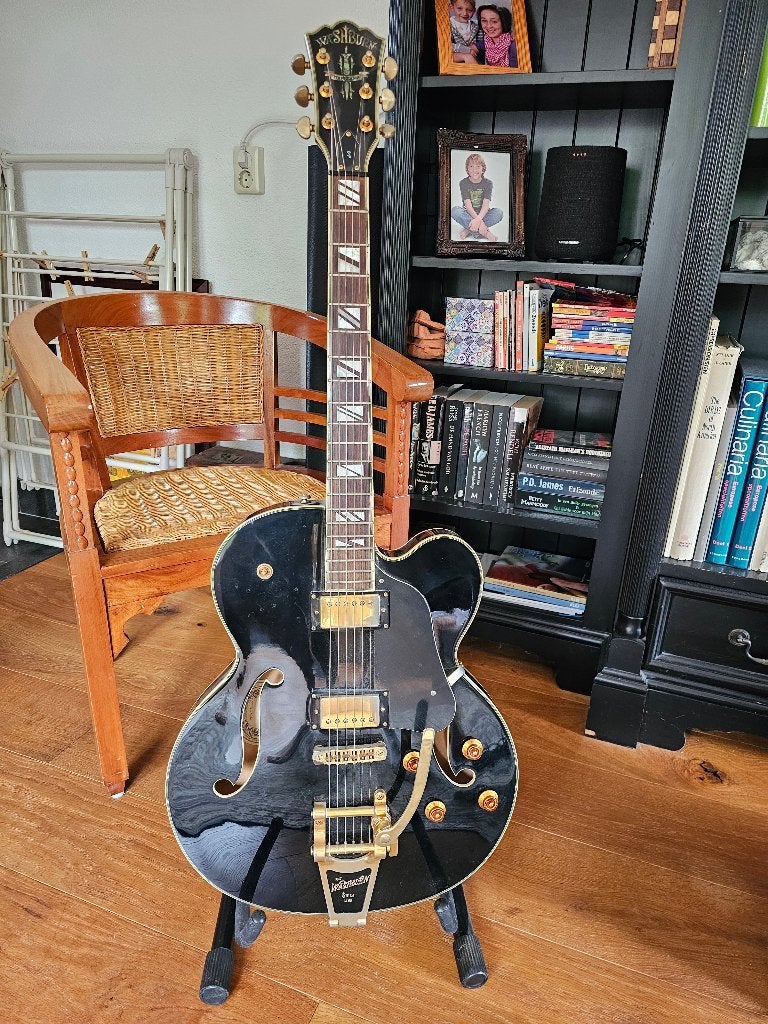 Washburn J9 Washington Electr.gitaar,  versterker, pedaal, Gebruikt, Hollow body, Met versterker, Ophalen