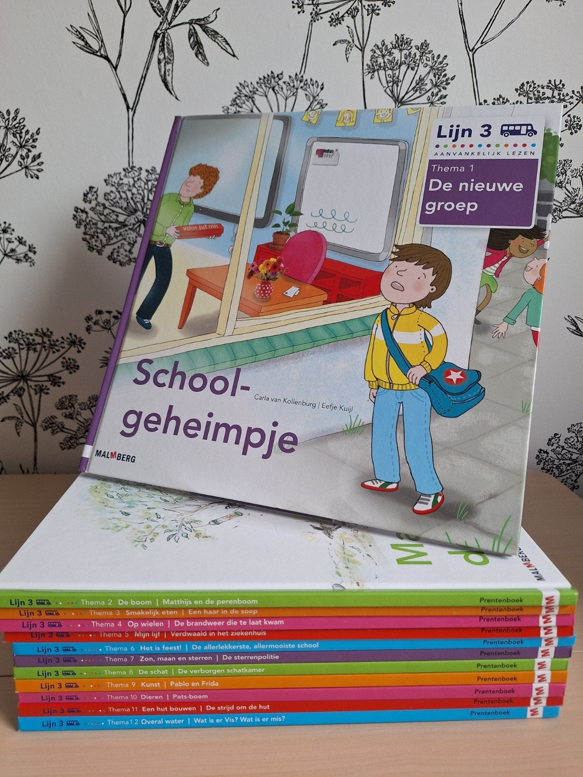 klassikale prentenboeken Lijn 3, groep 3, Boeken, Ophalen of Verzenden, Zo goed als nieuw, Overige niveaus, Nederlands