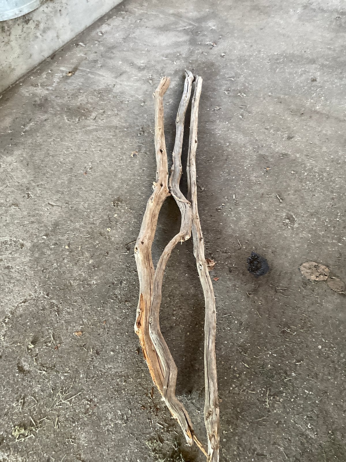 3x Eikenhout, prachtig verweerd, ca. 2 meter lang, Ophalen, Gebruikt, Eiken, Overige typen