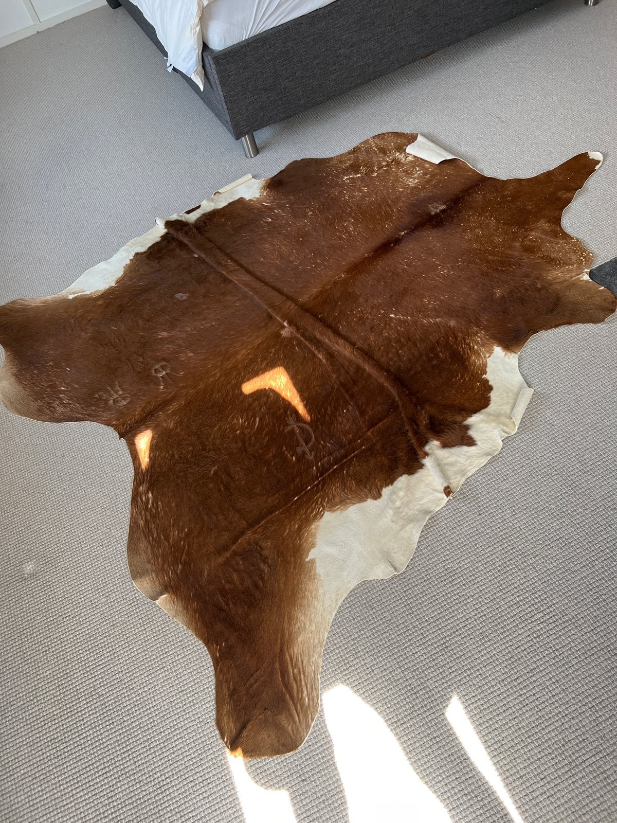 Prachtig bruin-wit koeienhuid vloerkleed, Ophalen, 100 tot 150 cm, Bruin, Zo goed als nieuw