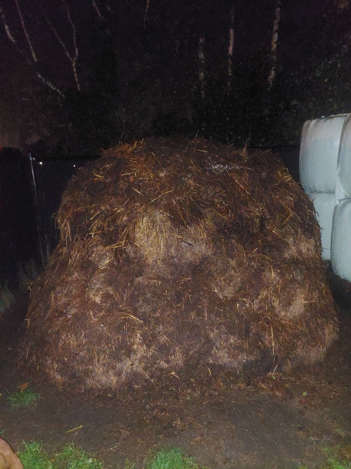 stalmest, Tuin en Terras, Ophalen, Mest