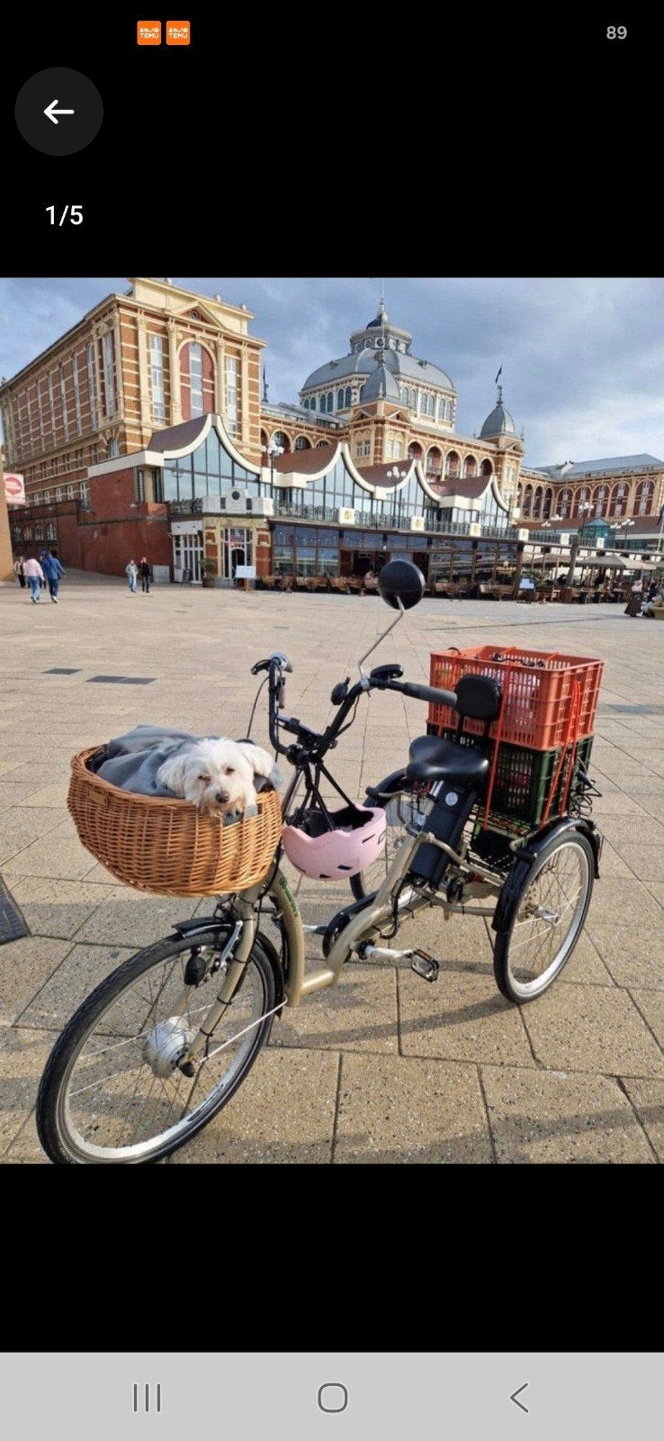 Elektrische driewieler fiets COMFORT met nieuwe accu+oplader, Ophalen, Zo goed als nieuw