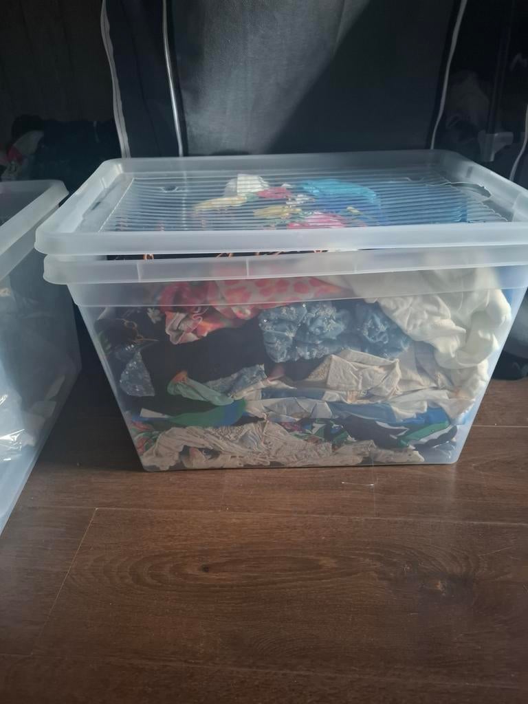 Zomerkleding, Ophalen of Verzenden