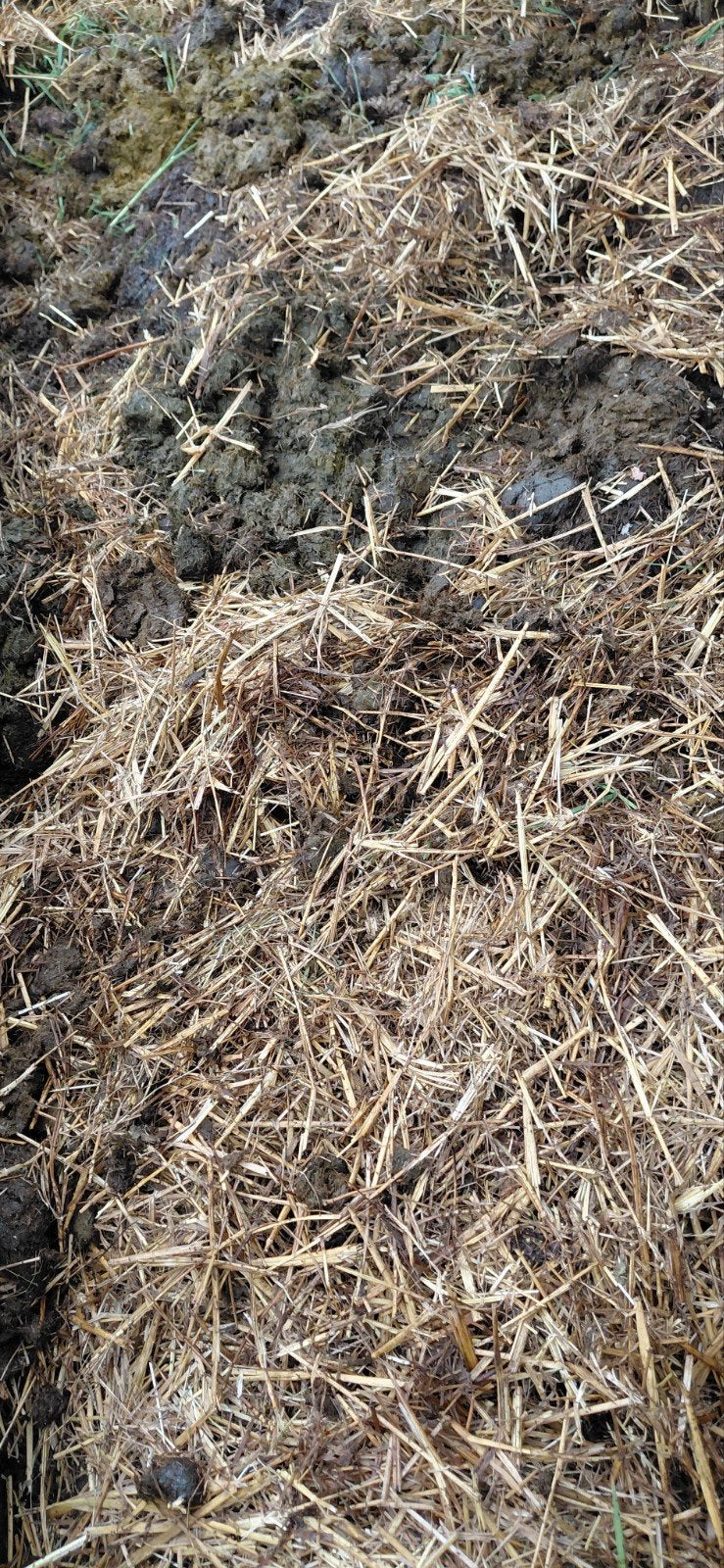 Paardenmest gratis af te halen, Ophalen of Verzenden, Tuinaarde