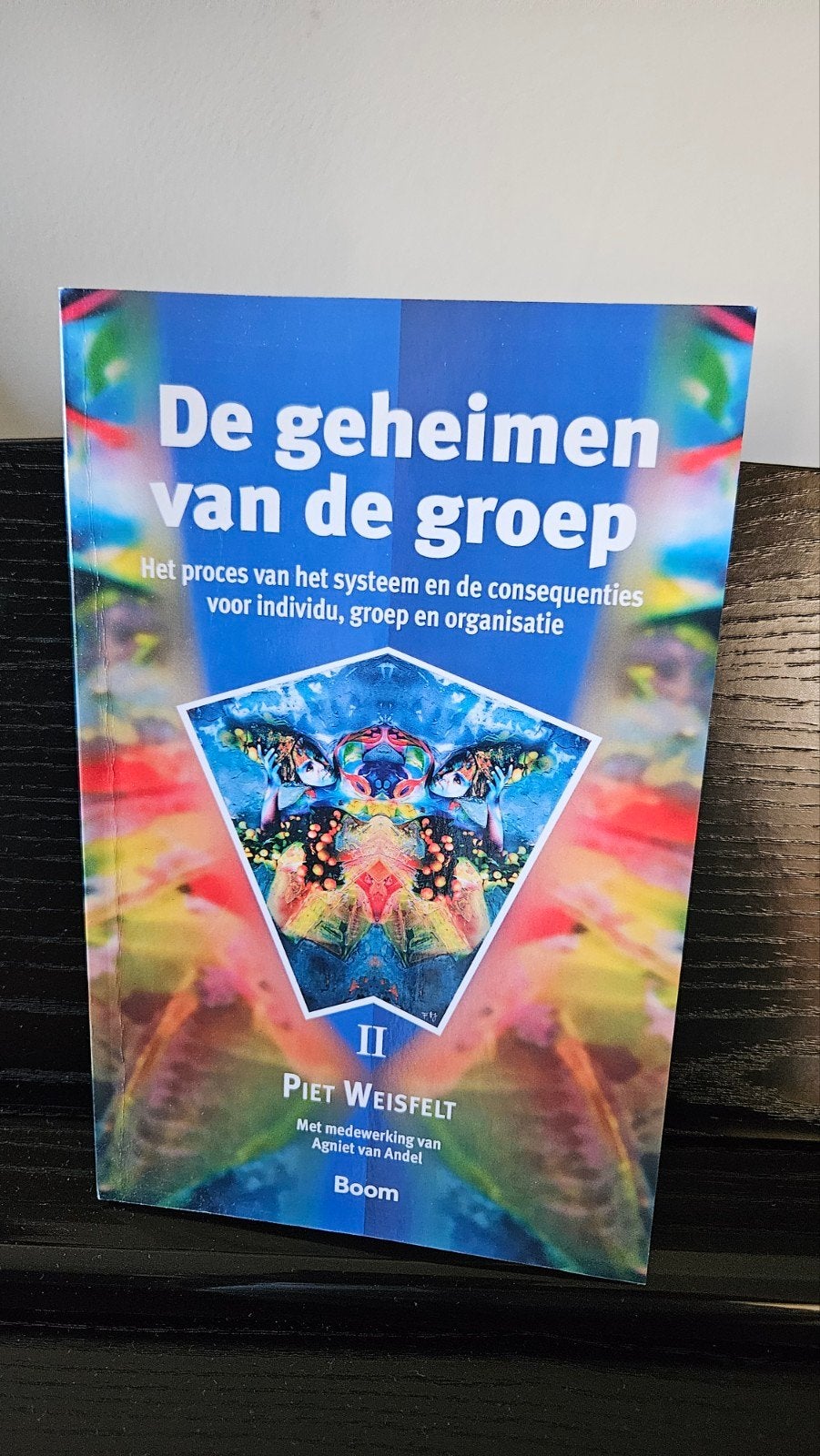 De geheimen van de groep - Piet Weisfelt, Ophalen of Verzenden, Zo goed als nieuw, Sociale psychologie, Piet Weisfelt