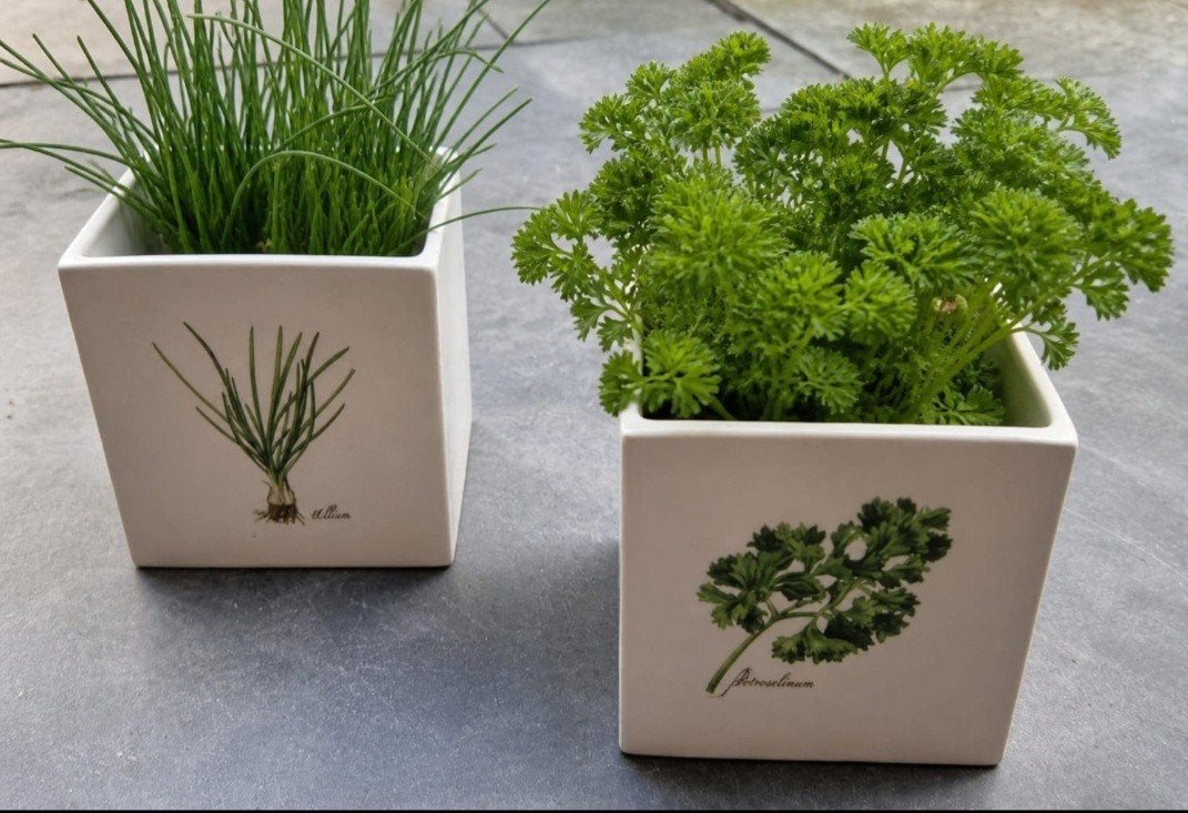 Te koop twee vierkante kruiden bloempotten., Ophalen of Verzenden, Vierkant, Minder dan 30 cm