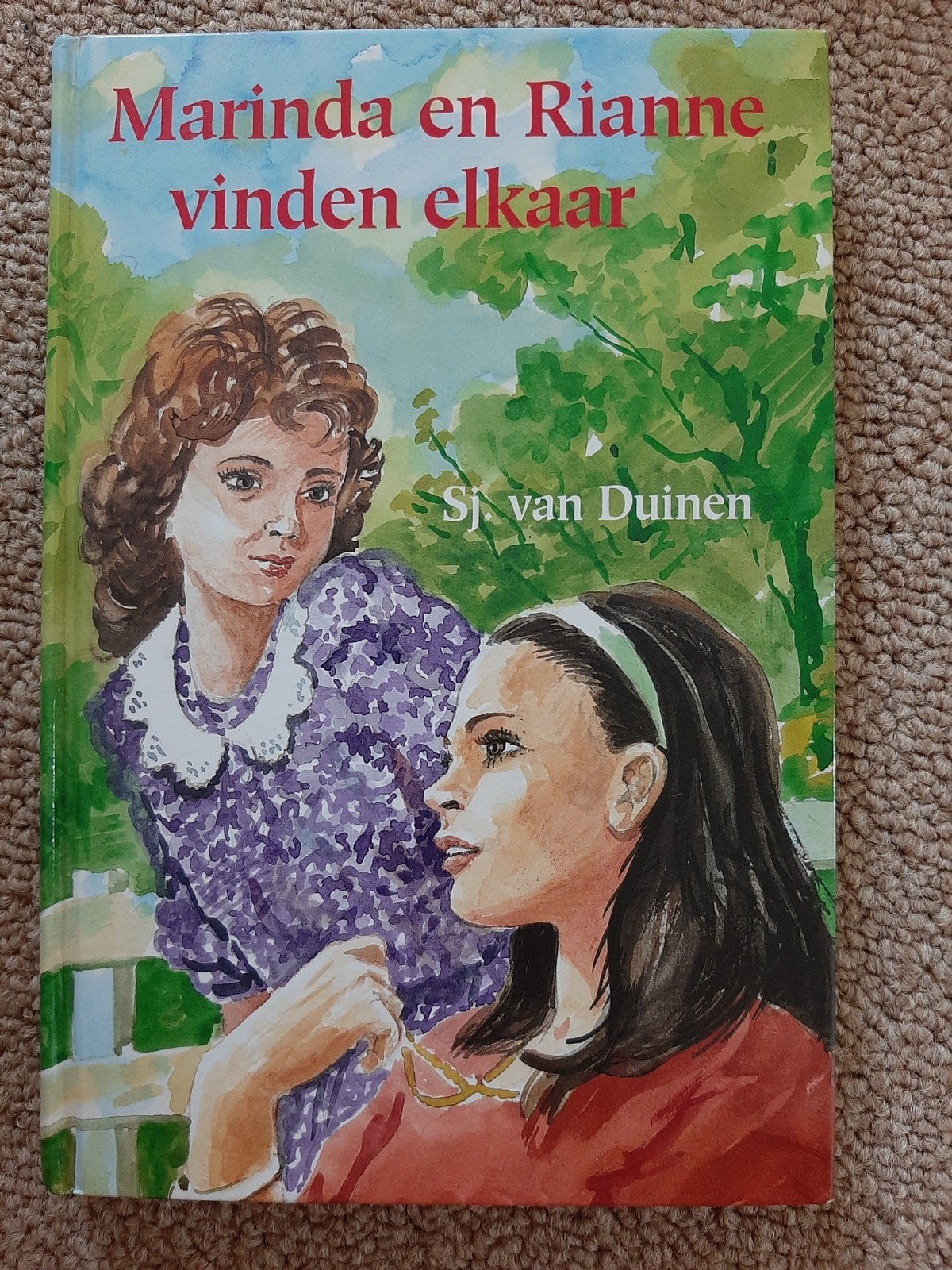 Marinda en Rianne vinden elkaar - S.J. van Duinen, Boeken, Ophalen of Verzenden, Gelezen, S.J. van Duinen, Nederland