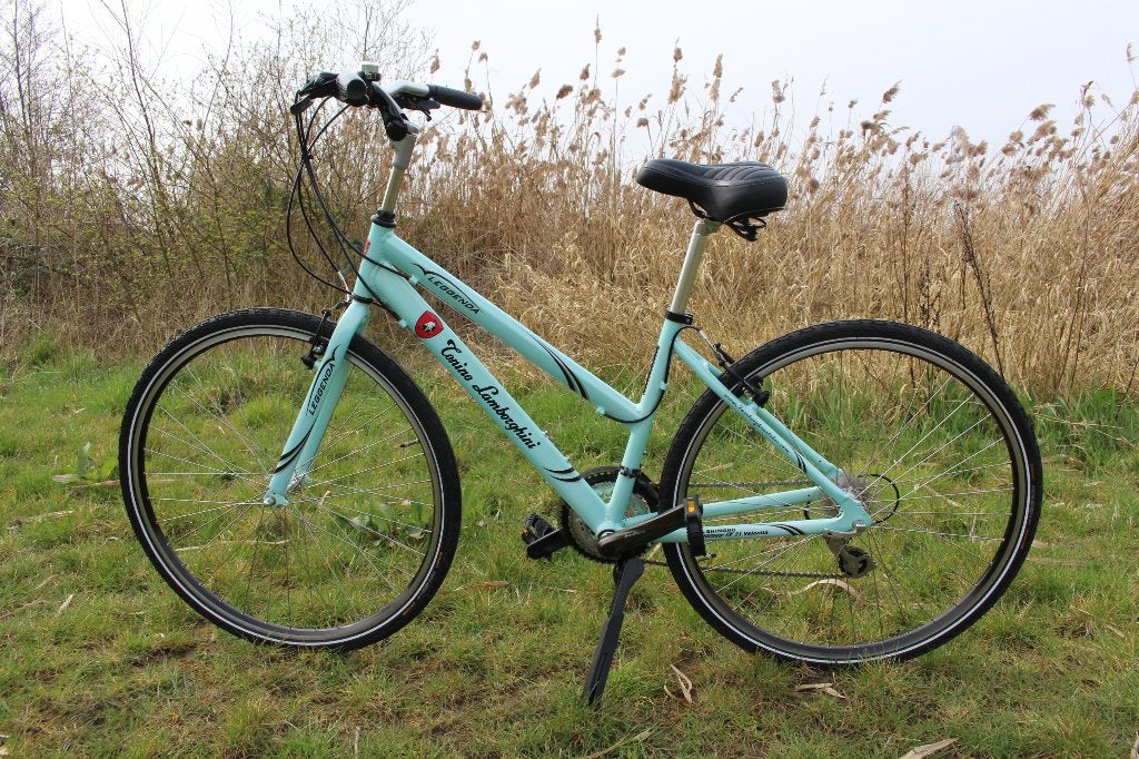 Unieke Tonino Lamborghini City bike, 53 tot 56 cm, Velgrem, Zo goed als nieuw, Meer dan 20 versnellingen