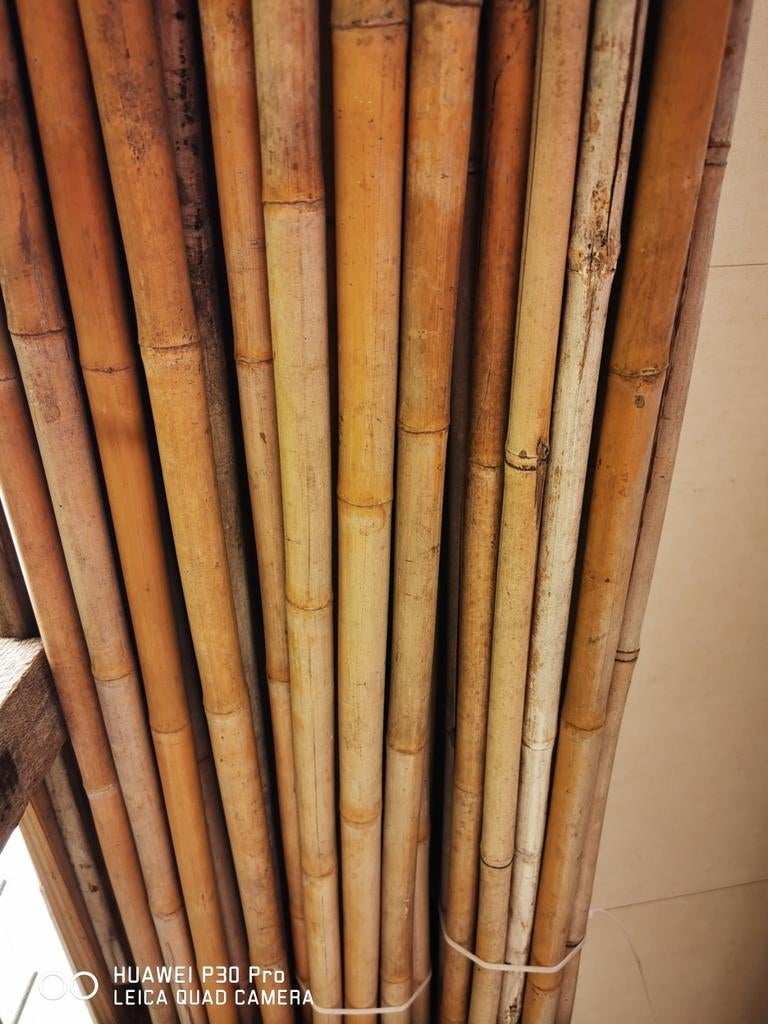 Bamboe stoken, Ophalen, Nieuw, Overige materialen, 200 cm of meer