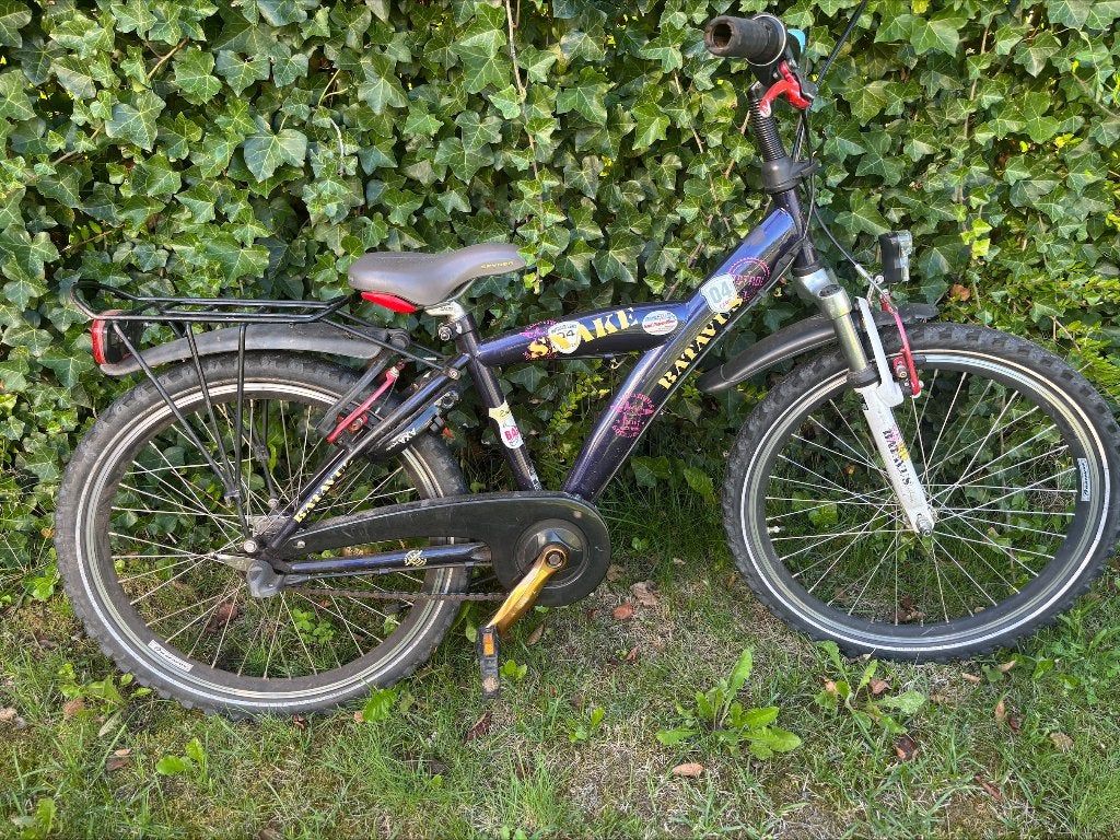 Jongens fiets Batavus Snake, Ophalen, Gebruikt, 22 inch