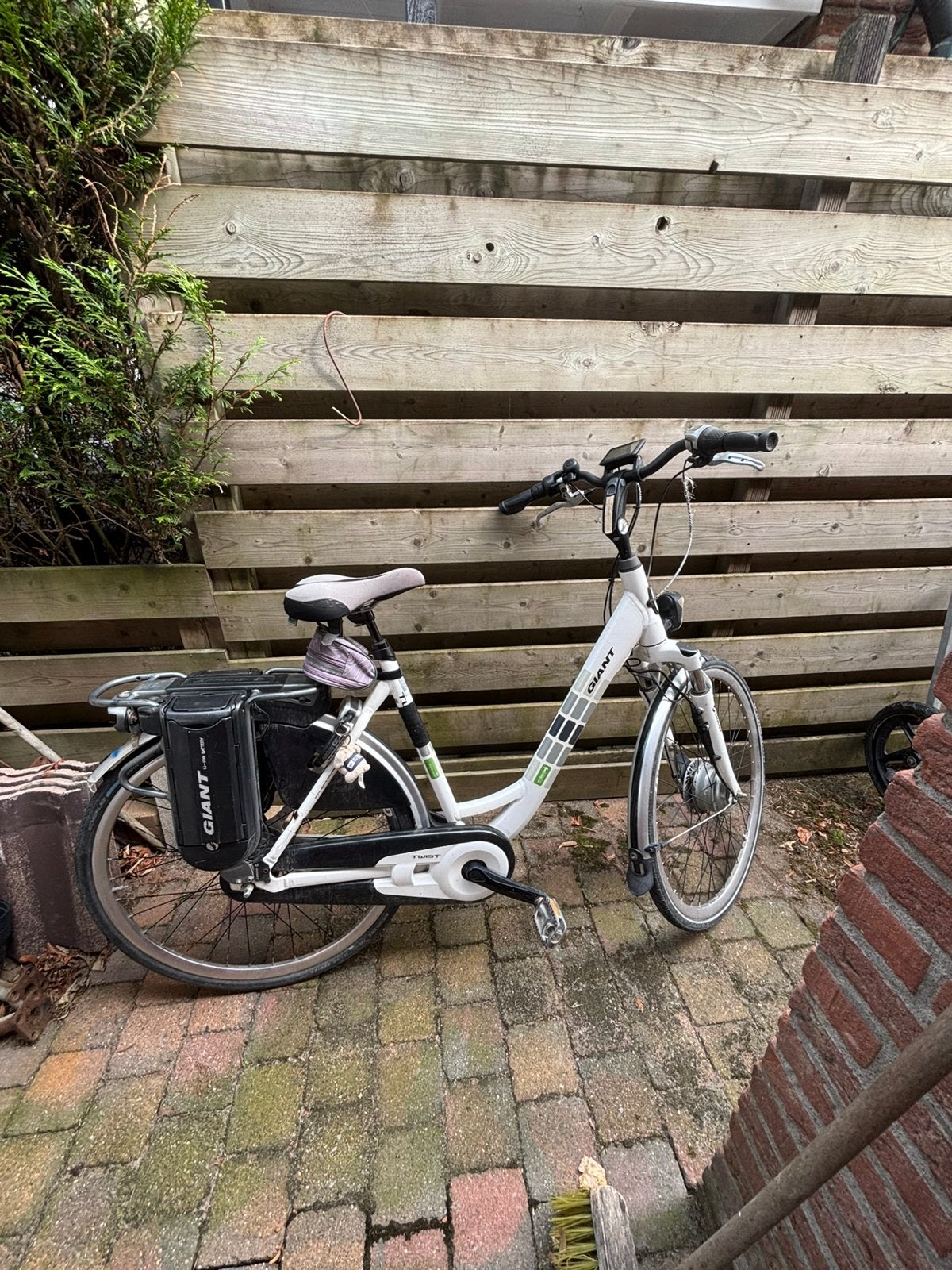 Giant Twist Go Double met oa nieuwe motor, Ophalen, Zo goed als nieuw, Giant