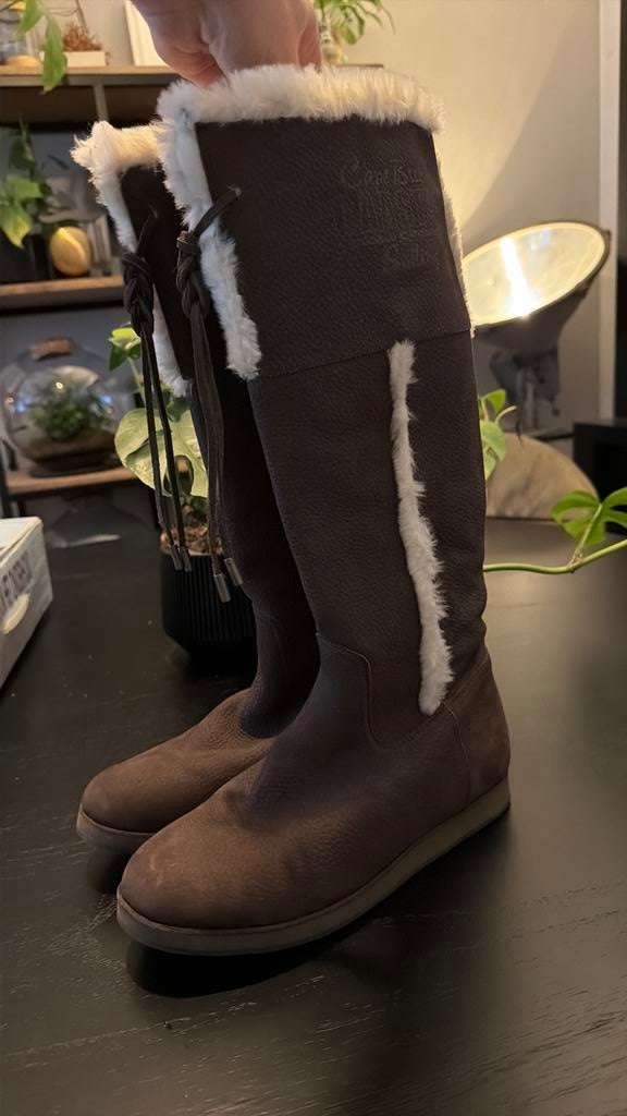 Gaastra boots maat 41 nooit gedragen. Gratis tasje erbij., Kleding | Dames, Ophalen, Zo goed als nieuw, Zwart, Hoge laarzen