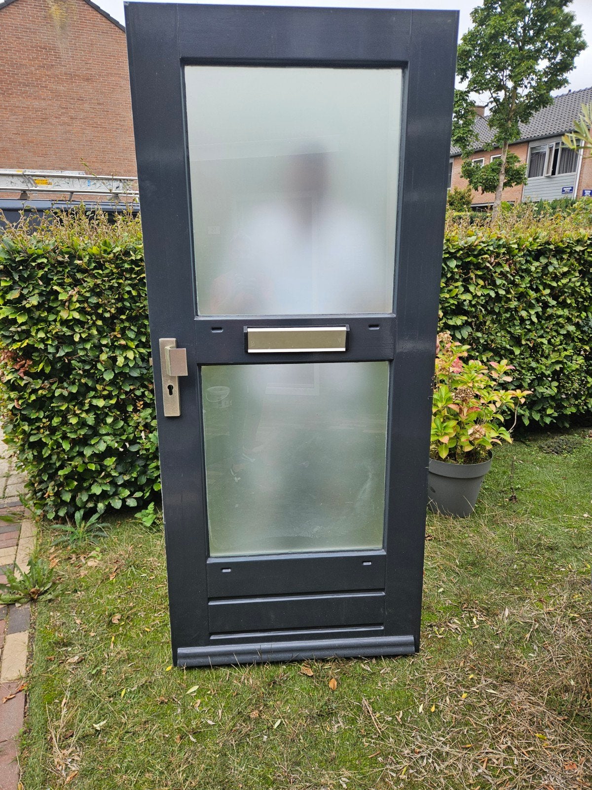 Gratis af te halen: Buitendeur met glas, 199.5x87.5 cm, Ophalen