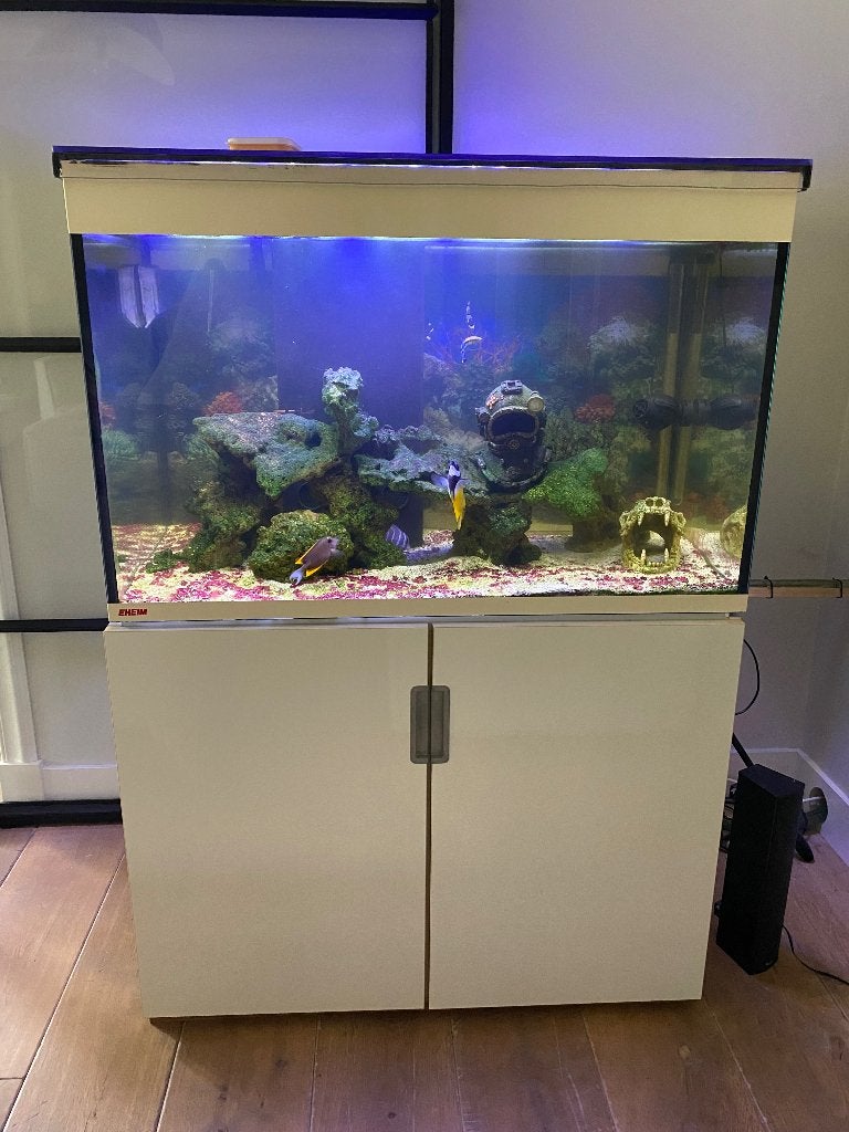 Eheim aquarium zout water 300 liter, Dieren en Toebehoren, Vissen | Aquaria en Toebehoren, Ophalen, Zo goed als nieuw, Gevuld zeewateraquarium