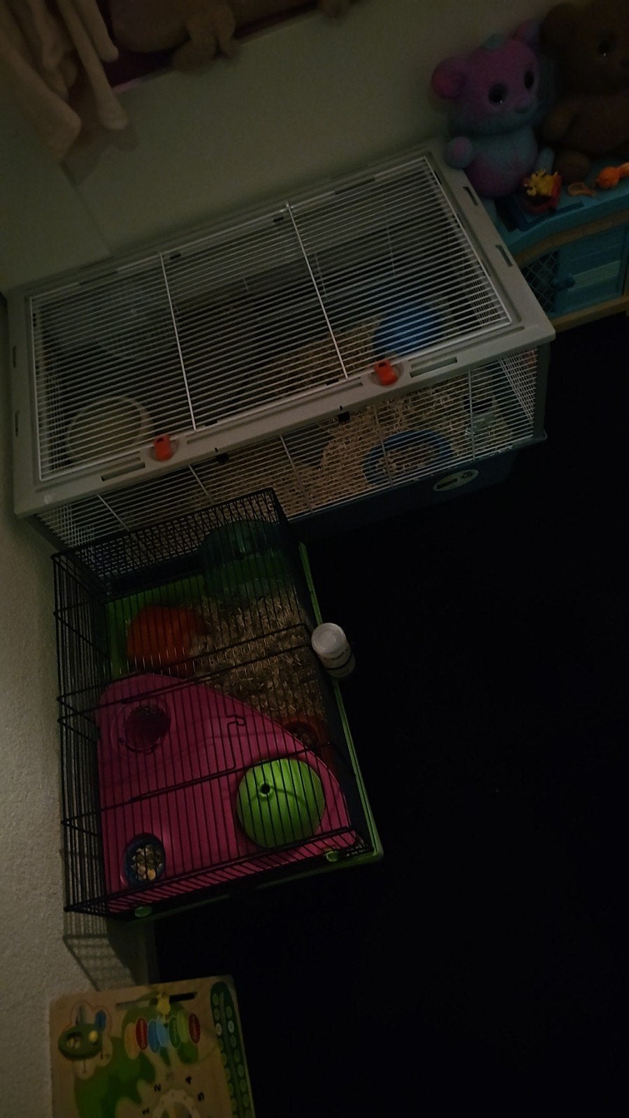 Hamsters met kooi en toebehoren te koop! (mannetje&vrouwtje), Dieren en Toebehoren, Kooi, Minder dan 75 cm, Zo goed als nieuw